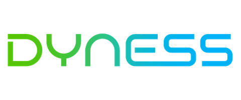 Dyness